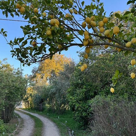 Вилла Quinta Do Faisco Эвора Экстерьер фото